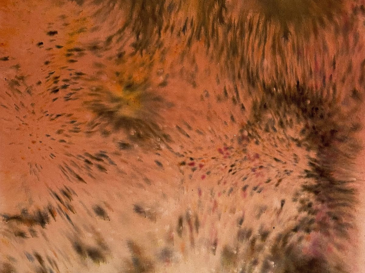 PERQUIRERE: Bruno Baptistelli, Carolina Cordeiro, Juliana dos Santos, Manauara Clandestina, Wisrah C. V. da R. Celestino