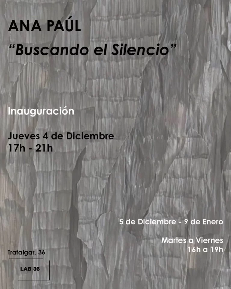 Buscando el silencio. Ana Paul