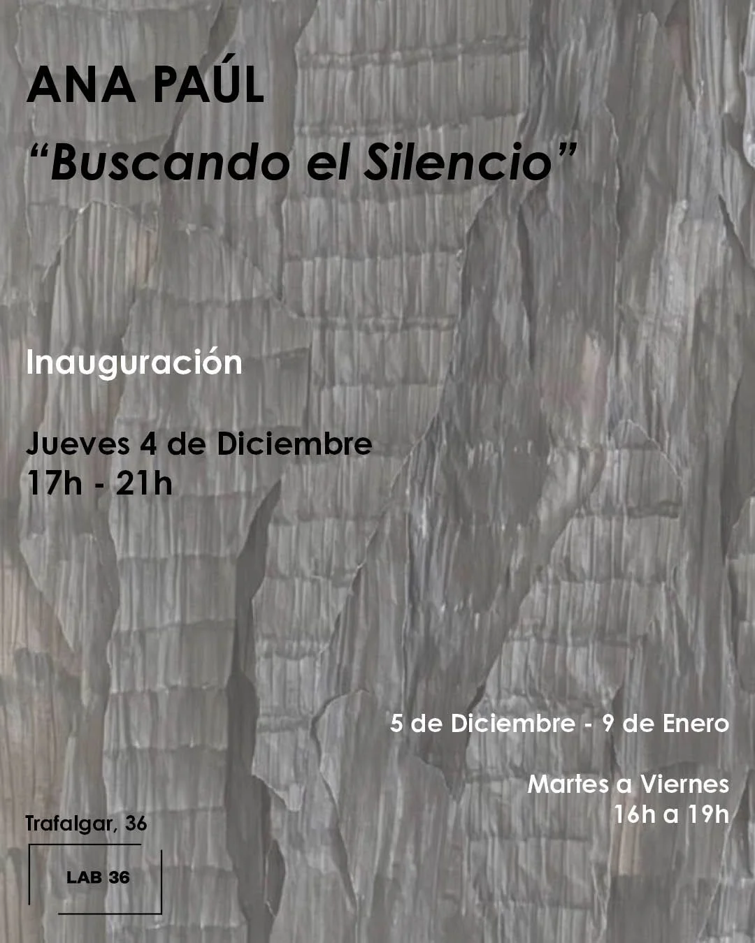 Buscando el silencio. Ana Paul 