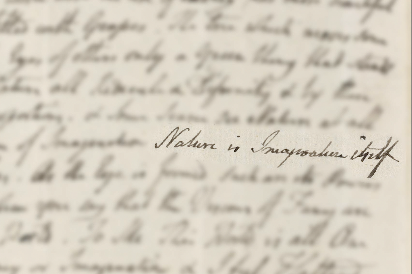 La Natura és, tota ella, imaginació. Amb Mita Casacuberta, Ingrid Guardiola, Joan Nogué i Elvira Prado-Fabregat