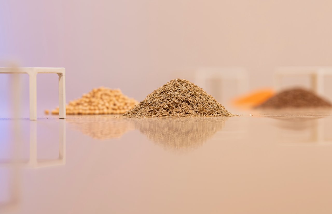 Què recorda la terra