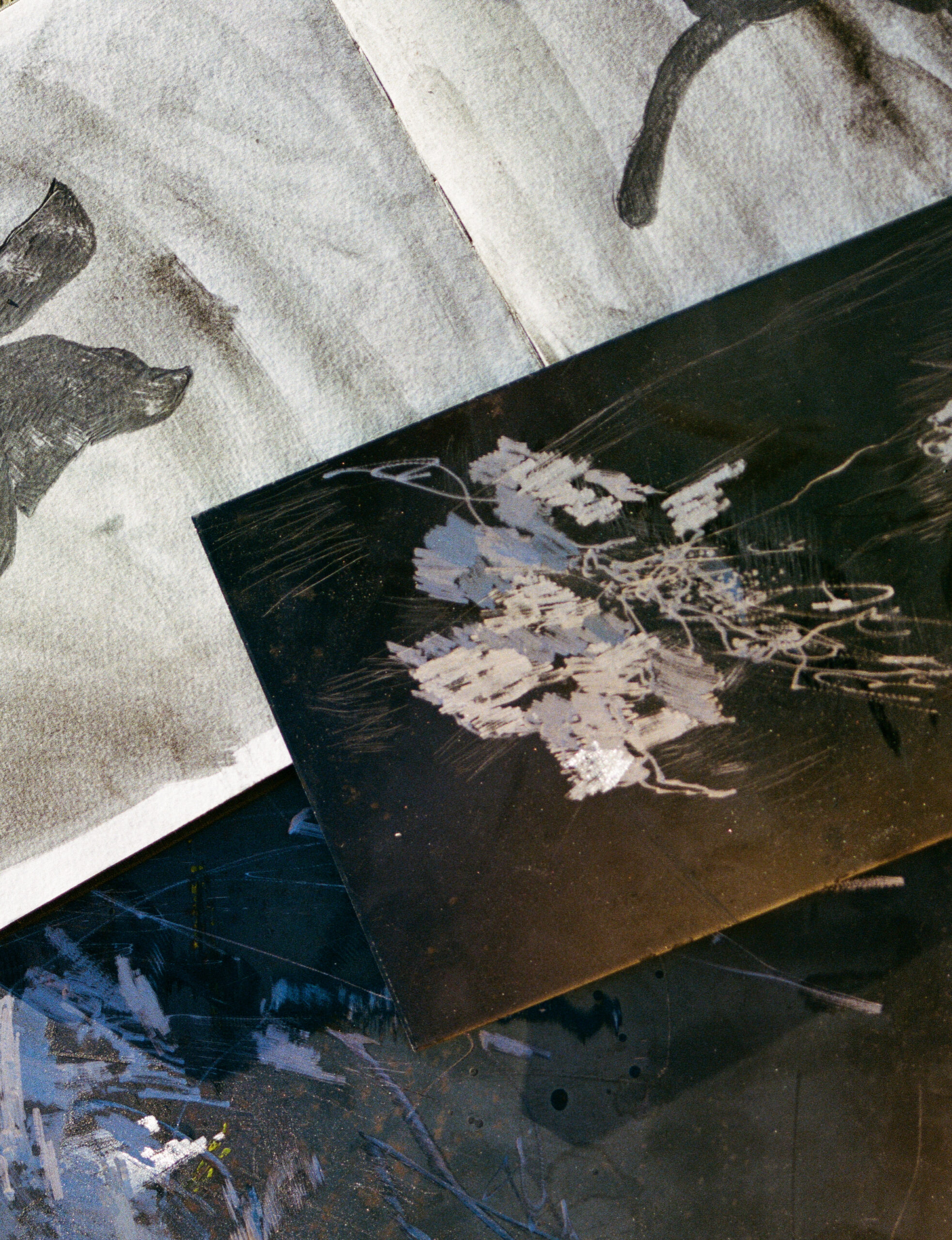 Elena Rocabert. Exposició Individual