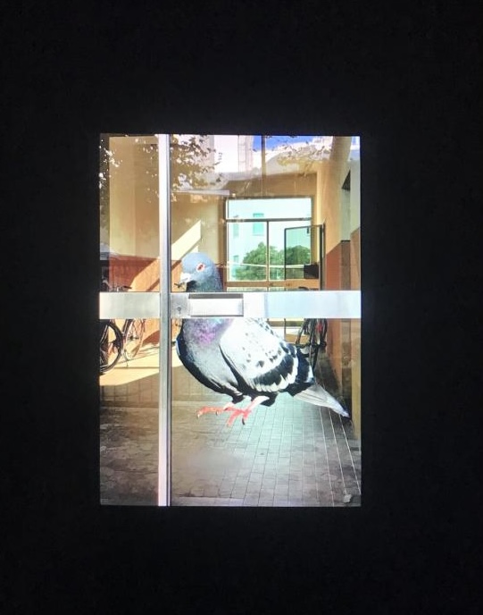 La taca més cega. Ana Martínez Fernández