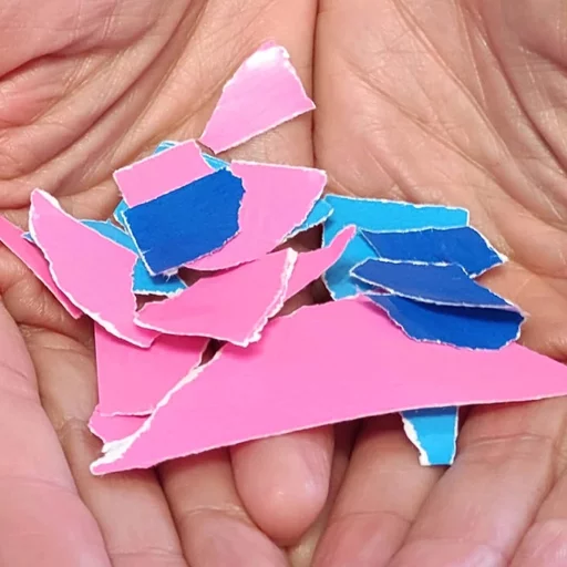 entre el rosa i la blau