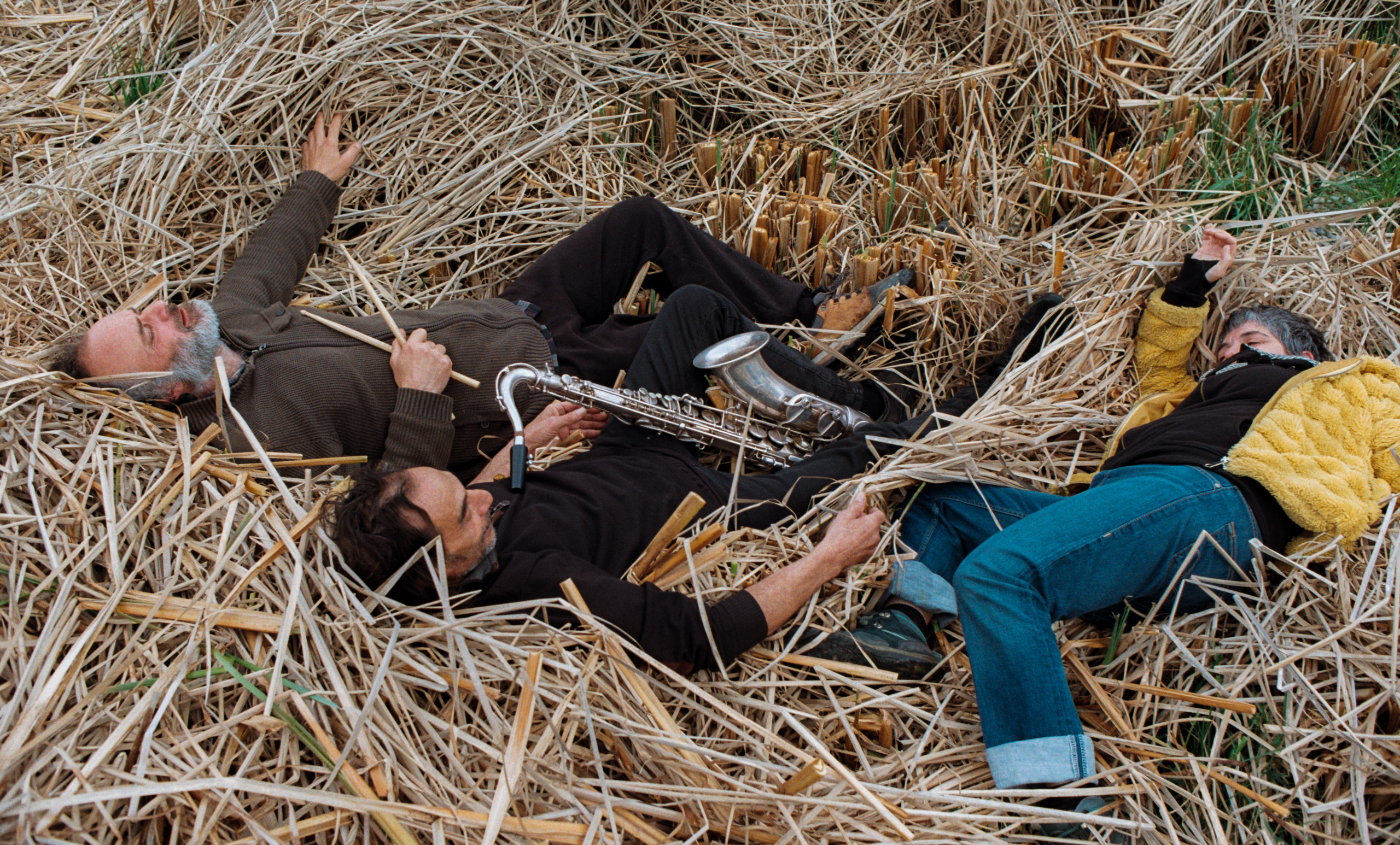 Xarnera’t. Un espectacle d’alta atenció