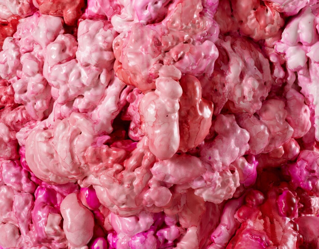 Ni animal ni tampoco ángel. Anatomía de la imagen. Marina Vargas