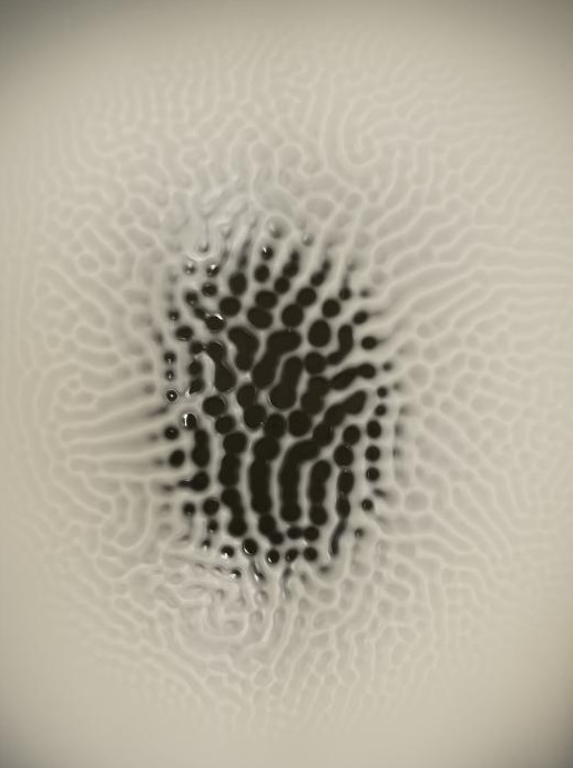 Una cerca que és un tempteig. Mercedes Pimiento