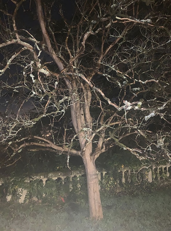 16:44. Anne-Lise Coste