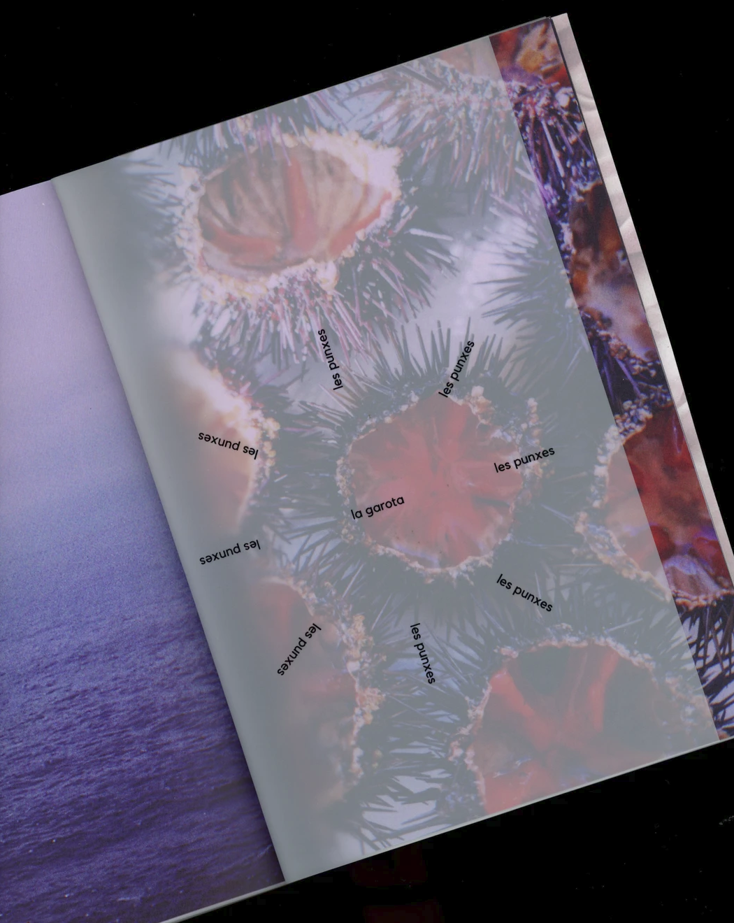 Del projecte al llibre. Taller intensiu d’autopublicació de fotollibres i llibres d’artista