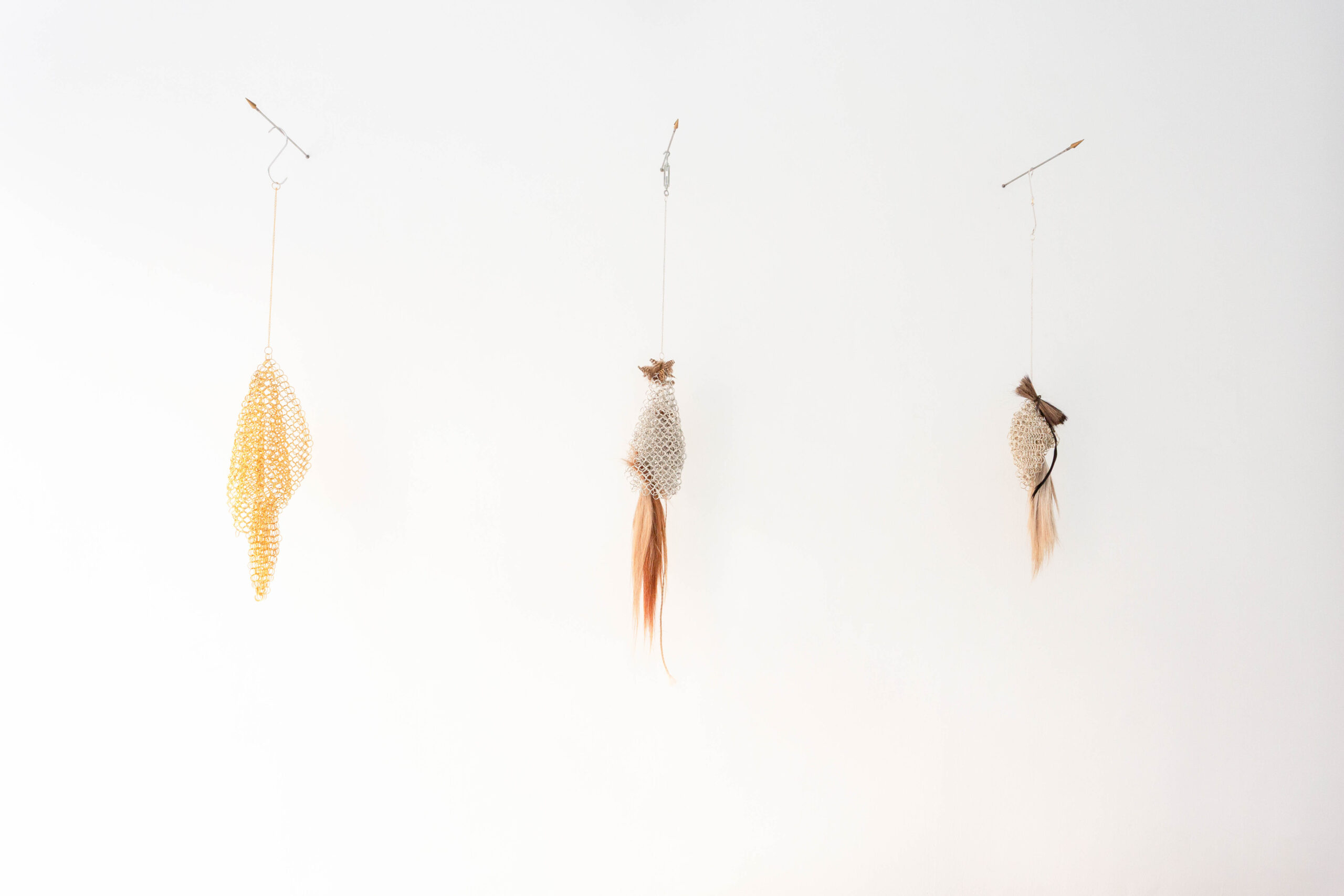 Bayos negros dormidos