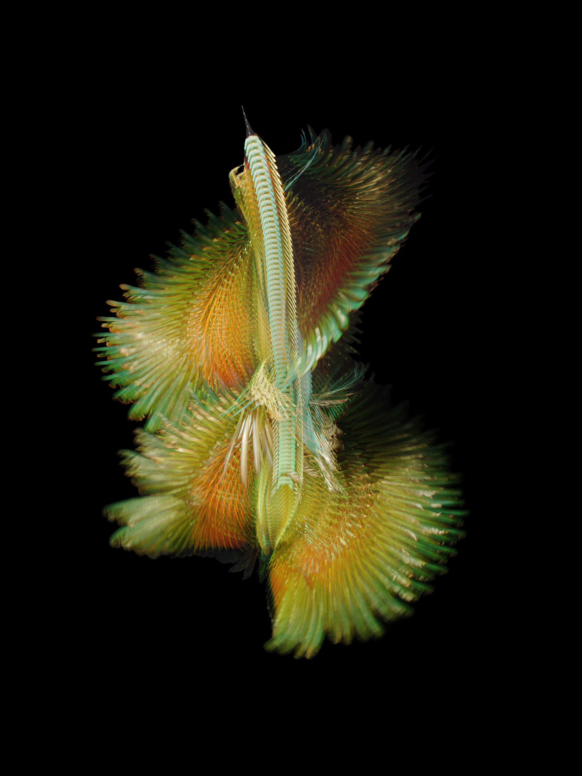 Visita guiada a ‘Fluctus’ amb Xavi Bou