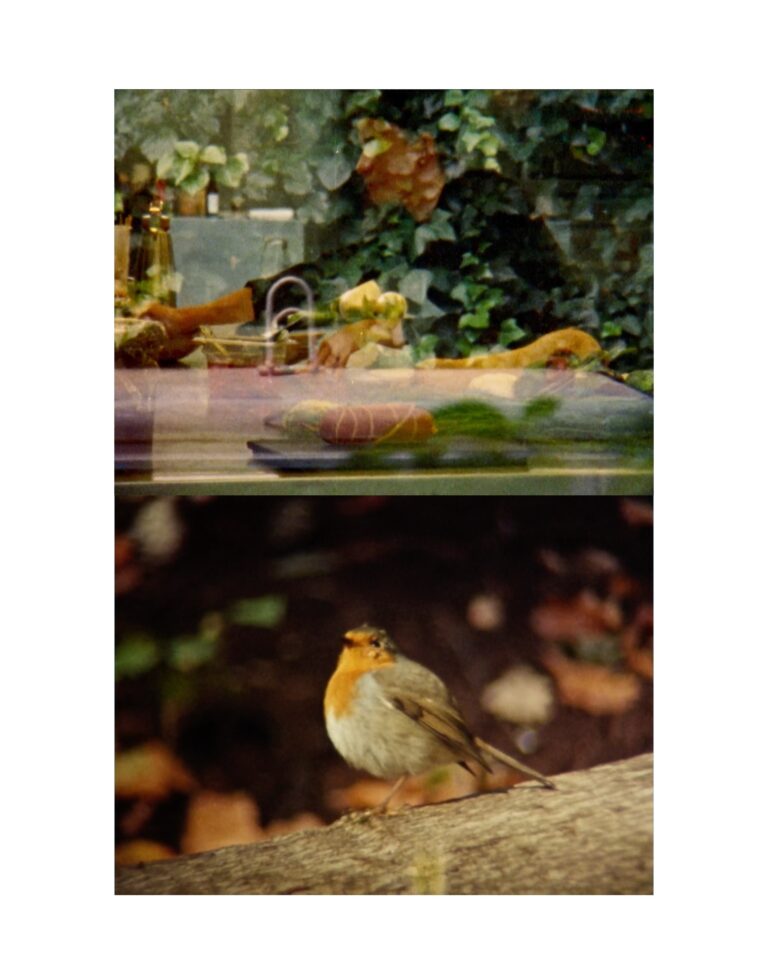 NATURA VIVA. LES COLS RESTAURANT de Alba Yruela