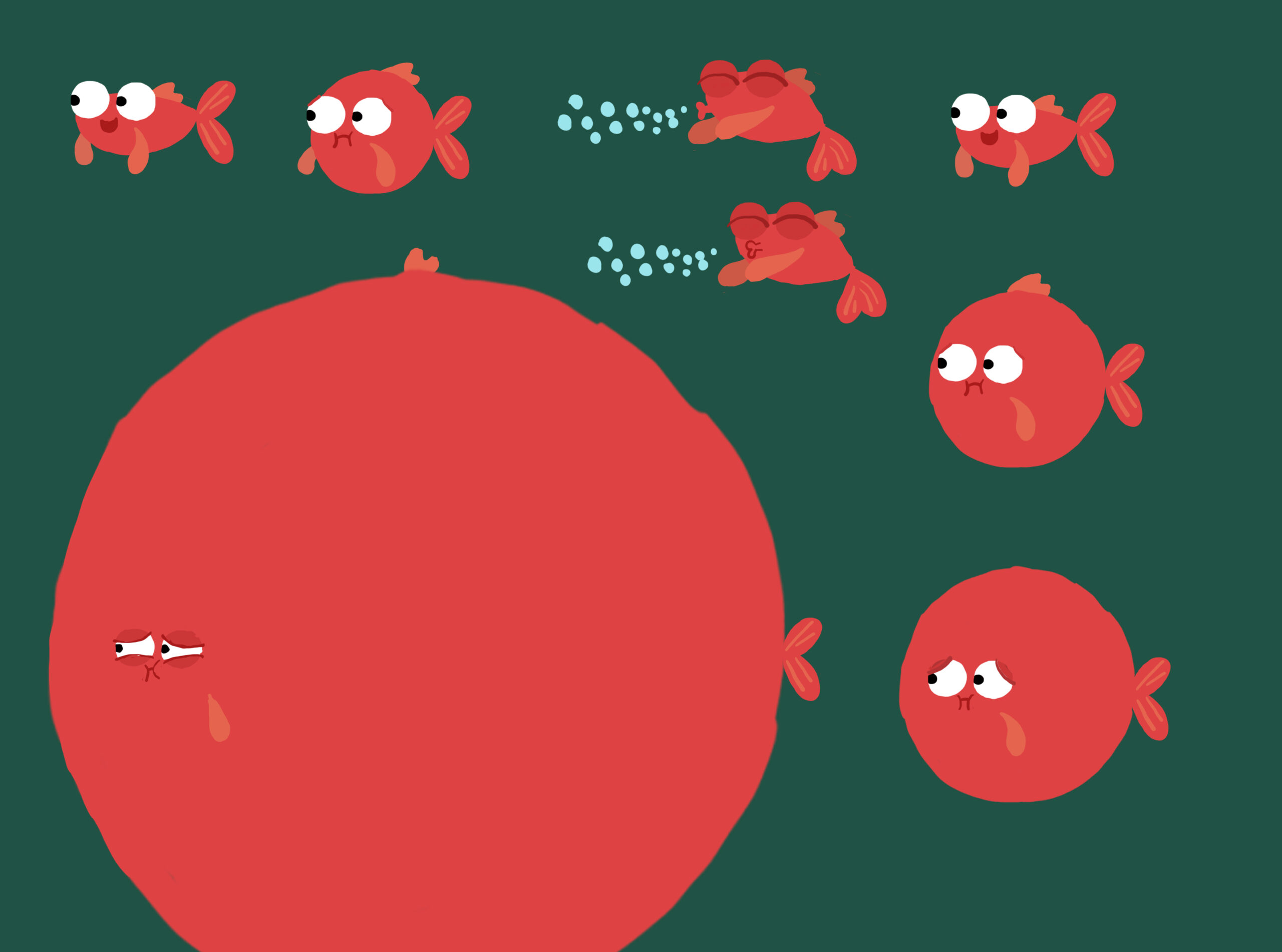 Julia Ocker. Hello! Animanimals