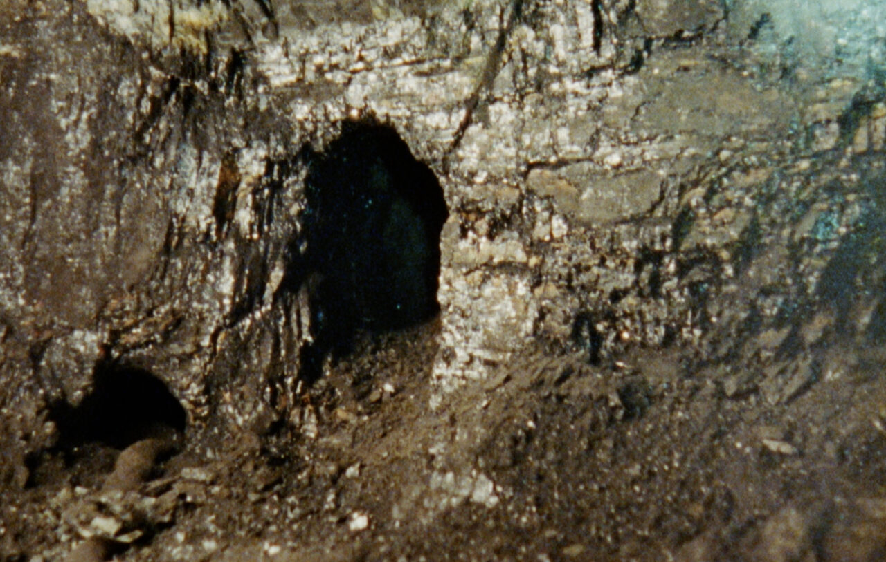 Senyals – Sadia Pineda Hameed