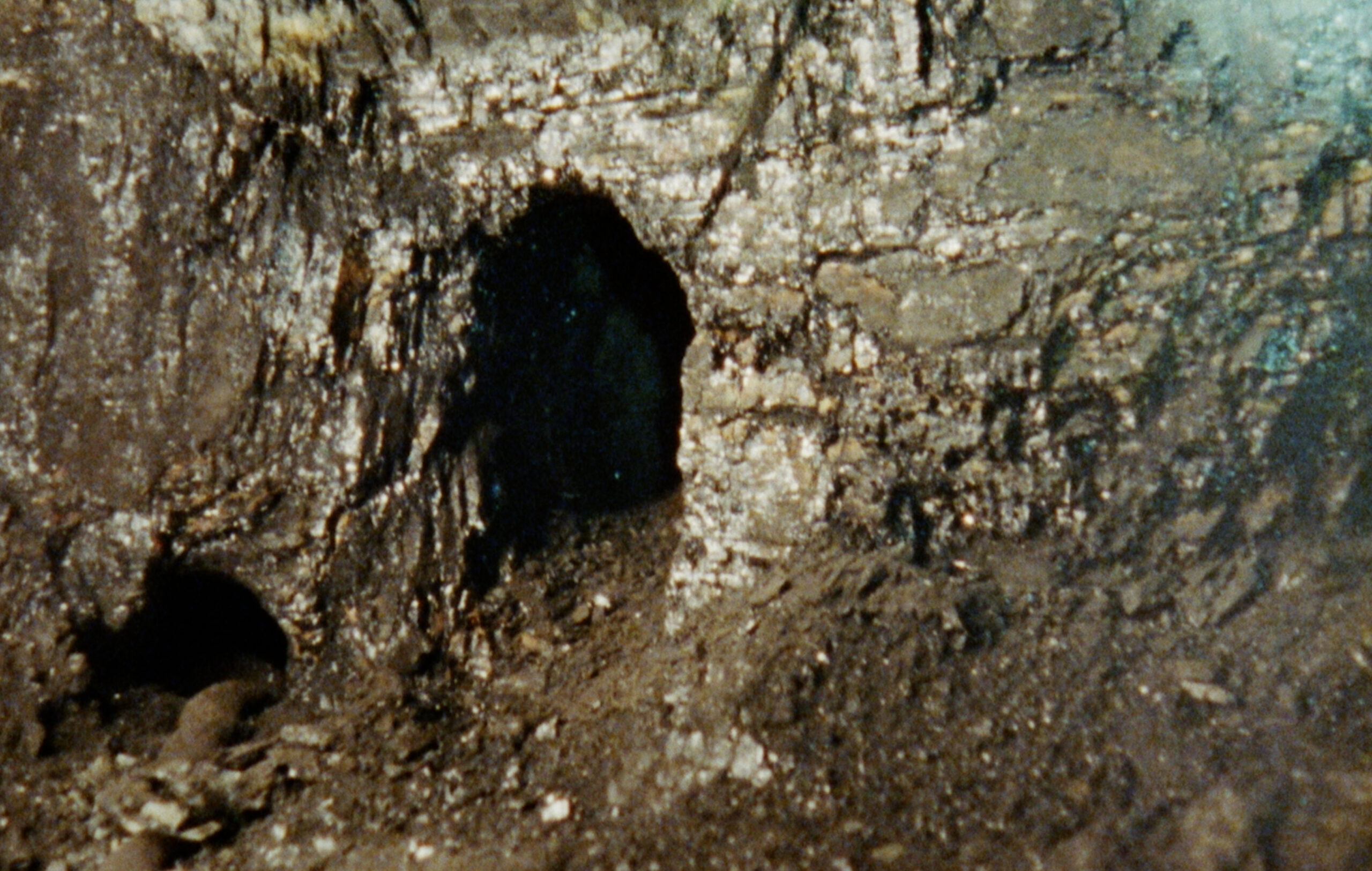 Senyals – Sadia Pineda Hameed