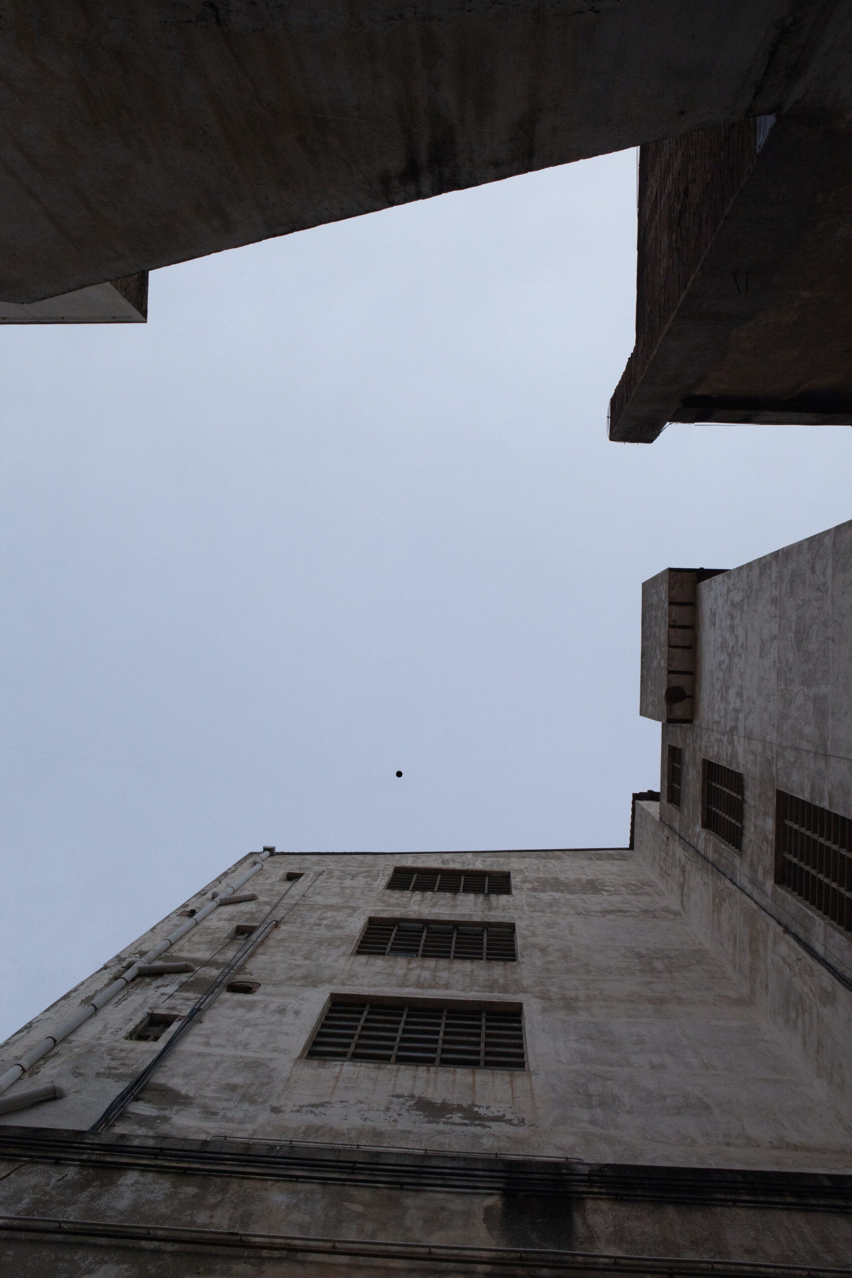 Un solo dos solos. Violeta Mayoral