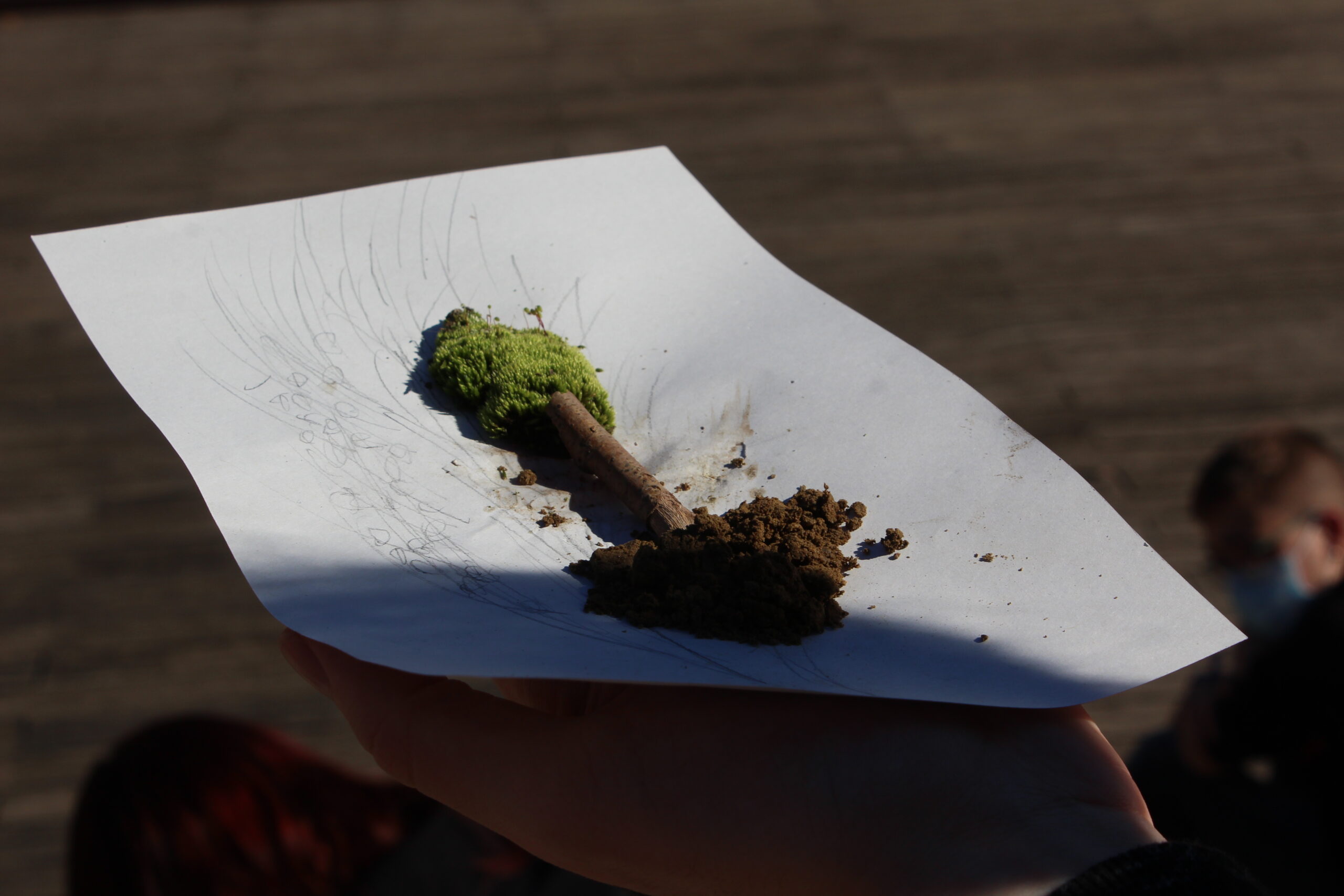 EL TEMPS DINS LA BUTXACA