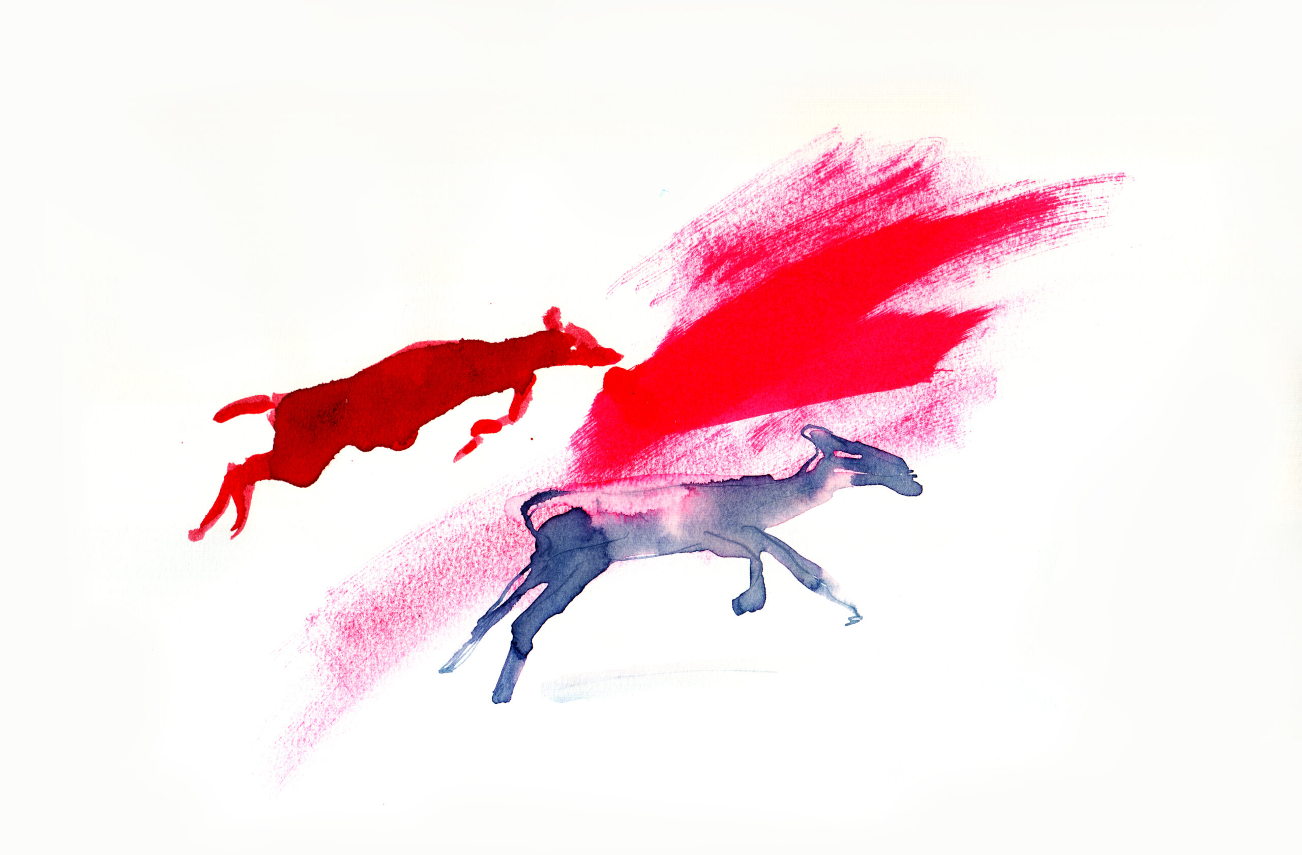 Cicle de cinema en el marc de l’exposició «Isabel Herguera. El desig d’un lloc imaginat»