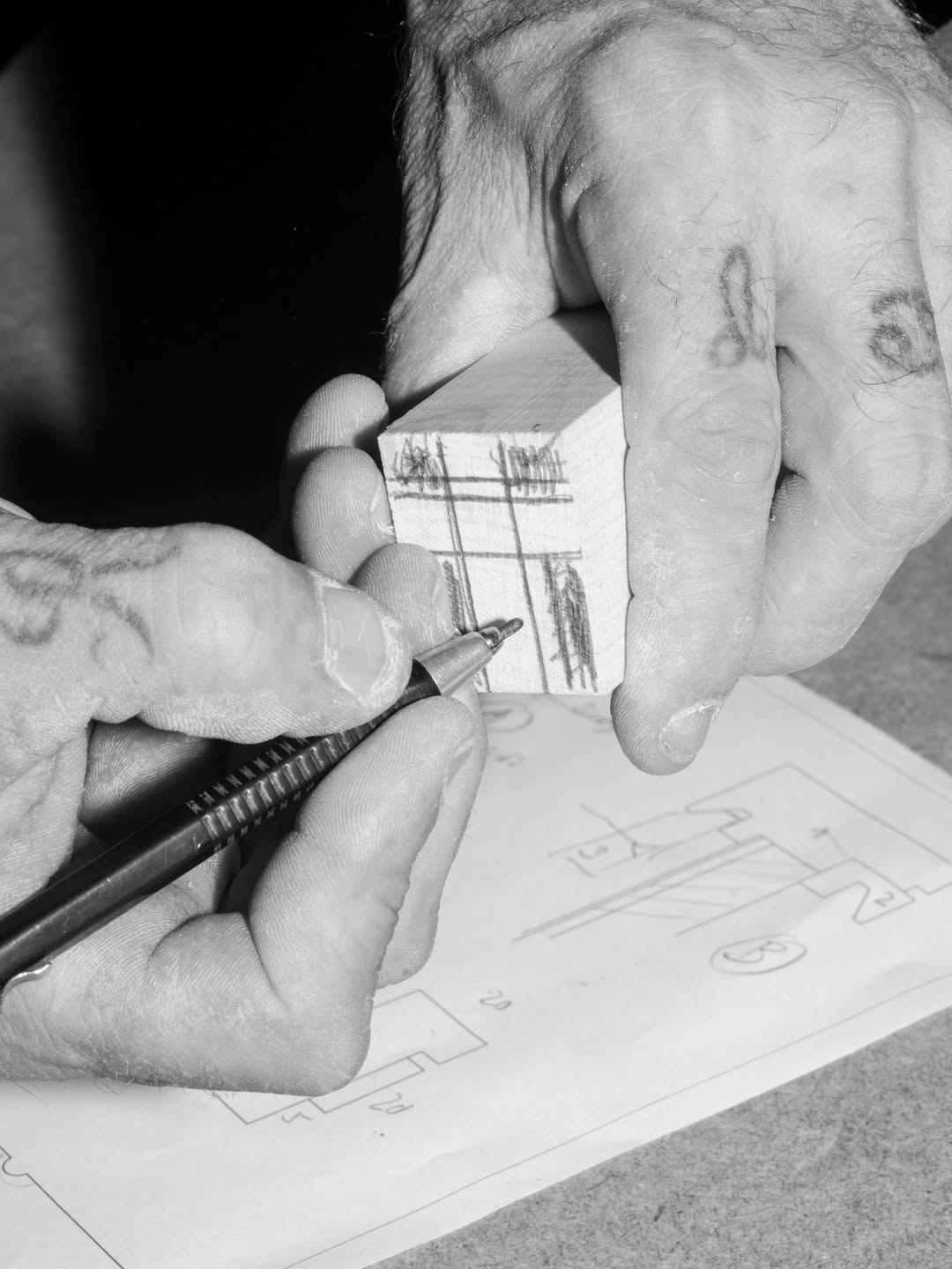 Vaig veure’t a tu que eres jo. Lucía Bayón i Aleix Plademunt