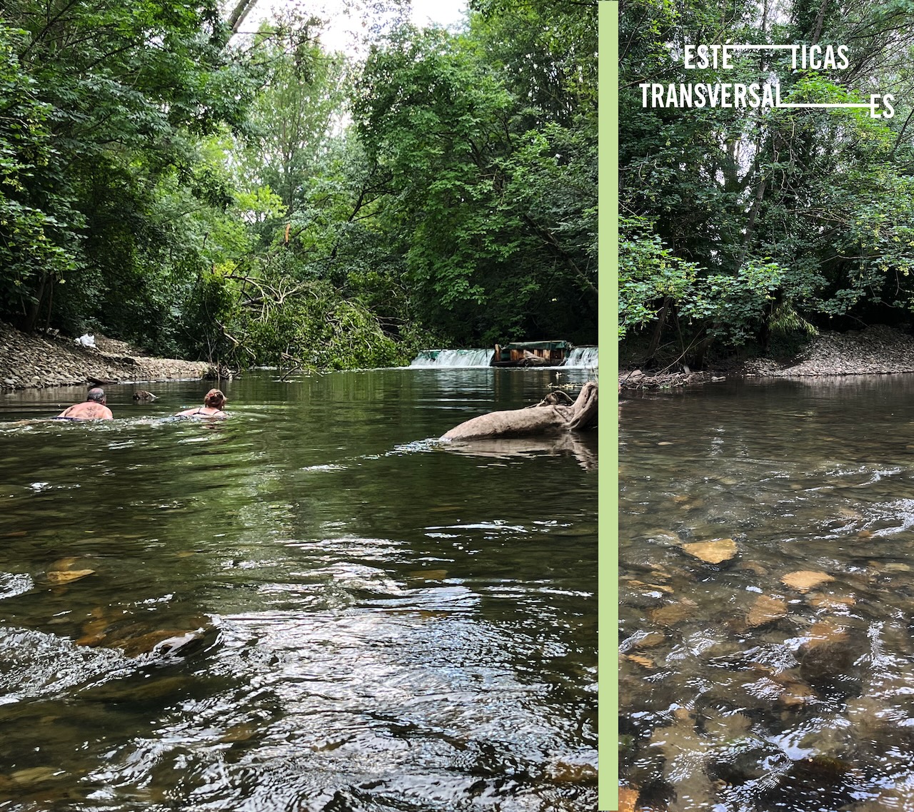 Estètiques Transversals 2026