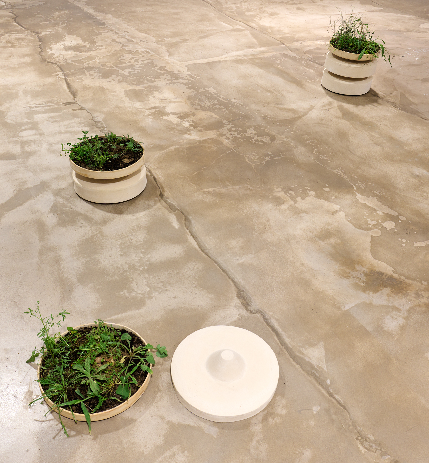 Inauguració exposició «No vagis a buscar els infants a l’escola, encara». Mariona Moncunill.