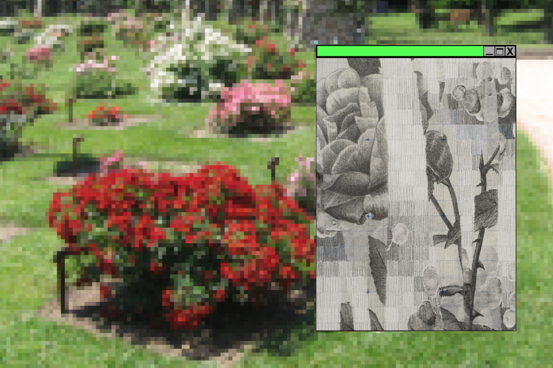 Bells objectius d’acumulació \ Dibuix i pícnic amb Adrià Gamero Casellas