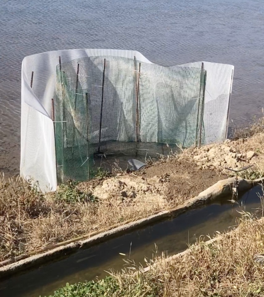 L’alfabet alat. A cura de Caterina Almirall