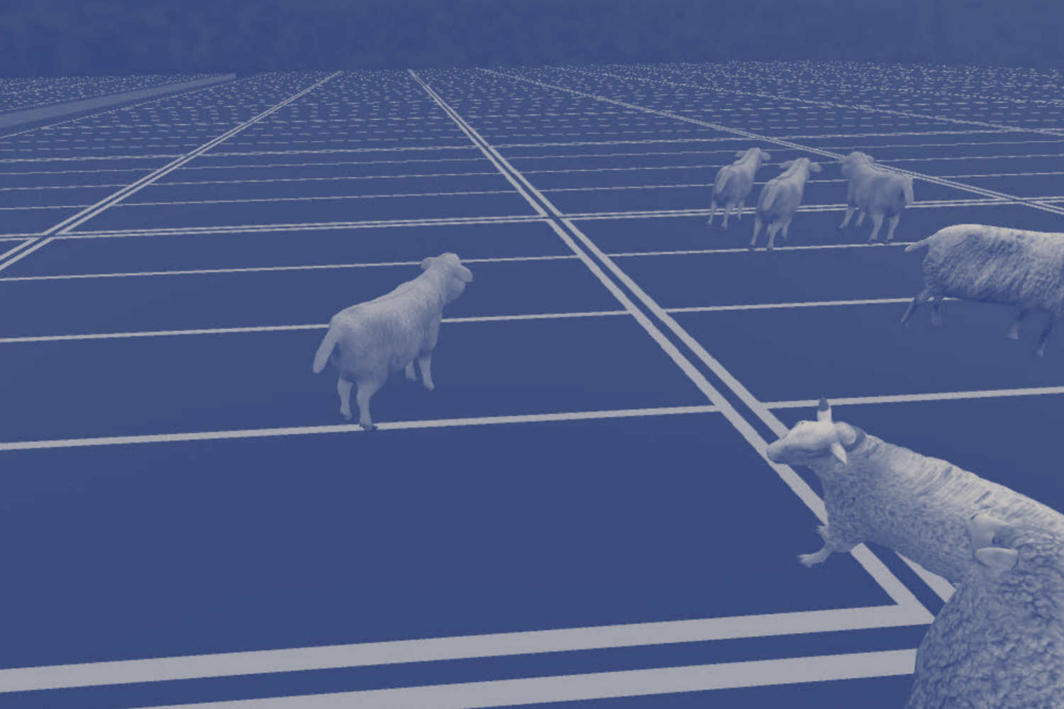 Assajar un lloc. Merlina Rañi