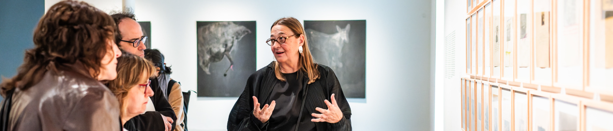 Visita comentada a l’exposició d’Àngel Jové a càrrec de la comissària: Maria Josep Balsach