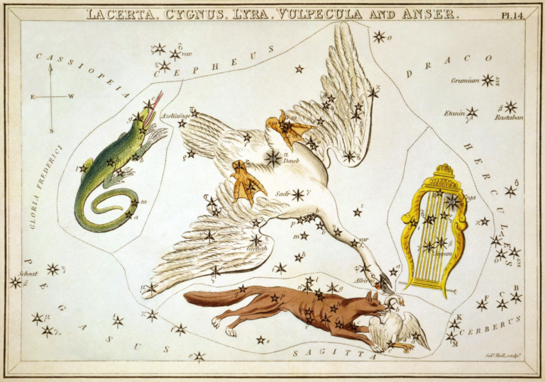 Planetari-Planeta-Plaça – A càrrec d’Helena Calafell Muñoz-Castanyer