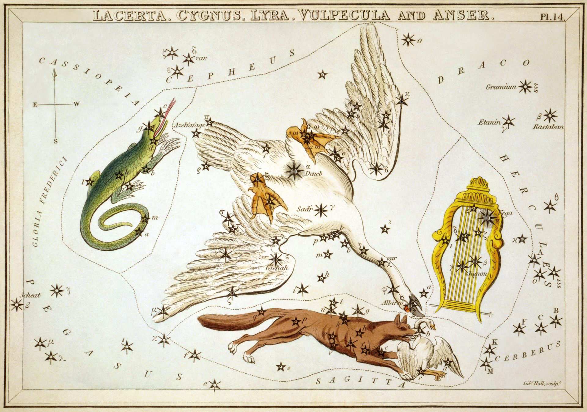 Planetari-Planeta-Plaça – A càrrec d’Helena Calafell Muñoz-Castanyer