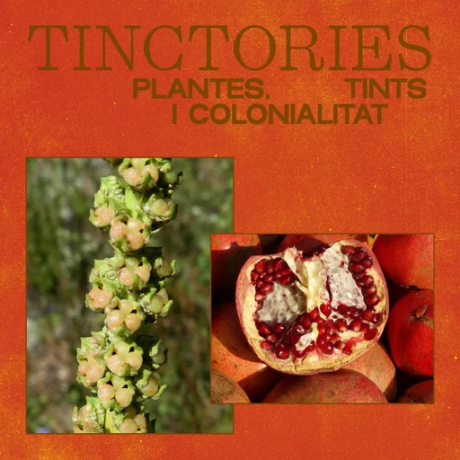 tinctorias