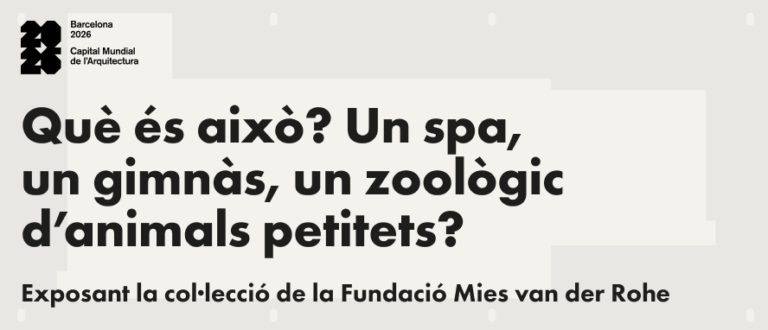 “Què és això? Un spa, un gimnàs, un zoològic d’animals petitets? Exposant la col·lecció de la Fundació Mies van der Rohe”