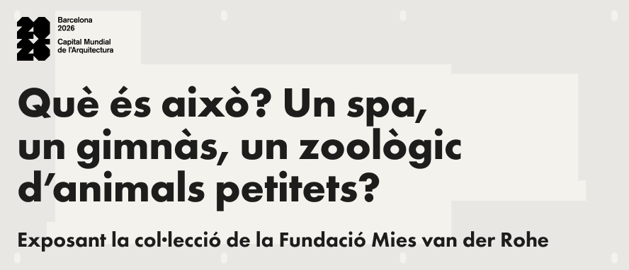 “Què és això? Un spa, un gimnàs, un zoològic d’animals petitets? Exposant la col·lecció de la Fundació Mies van der Rohe”