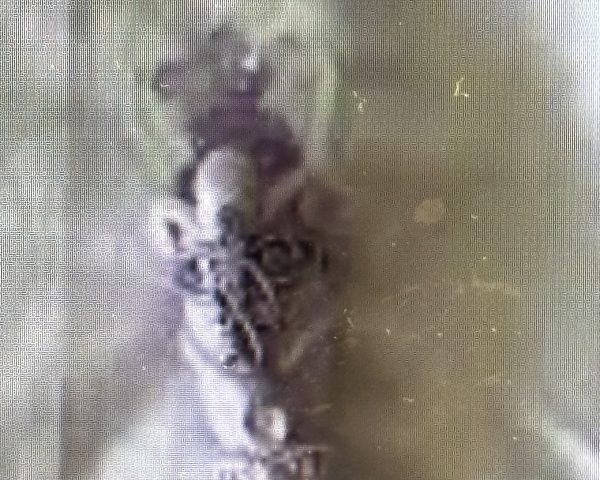 Si jo sóc el cadàver, ha d’haver-hi una arma. Meritxell Cañas