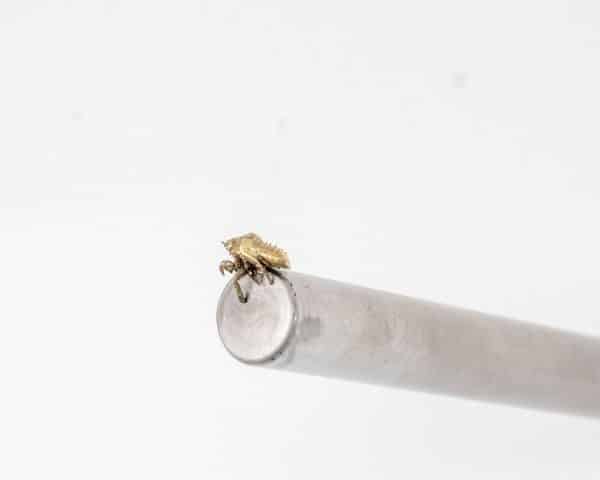 Espai Contaminat. Iacopo Pinelli