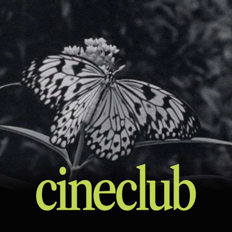 cineclub de juny