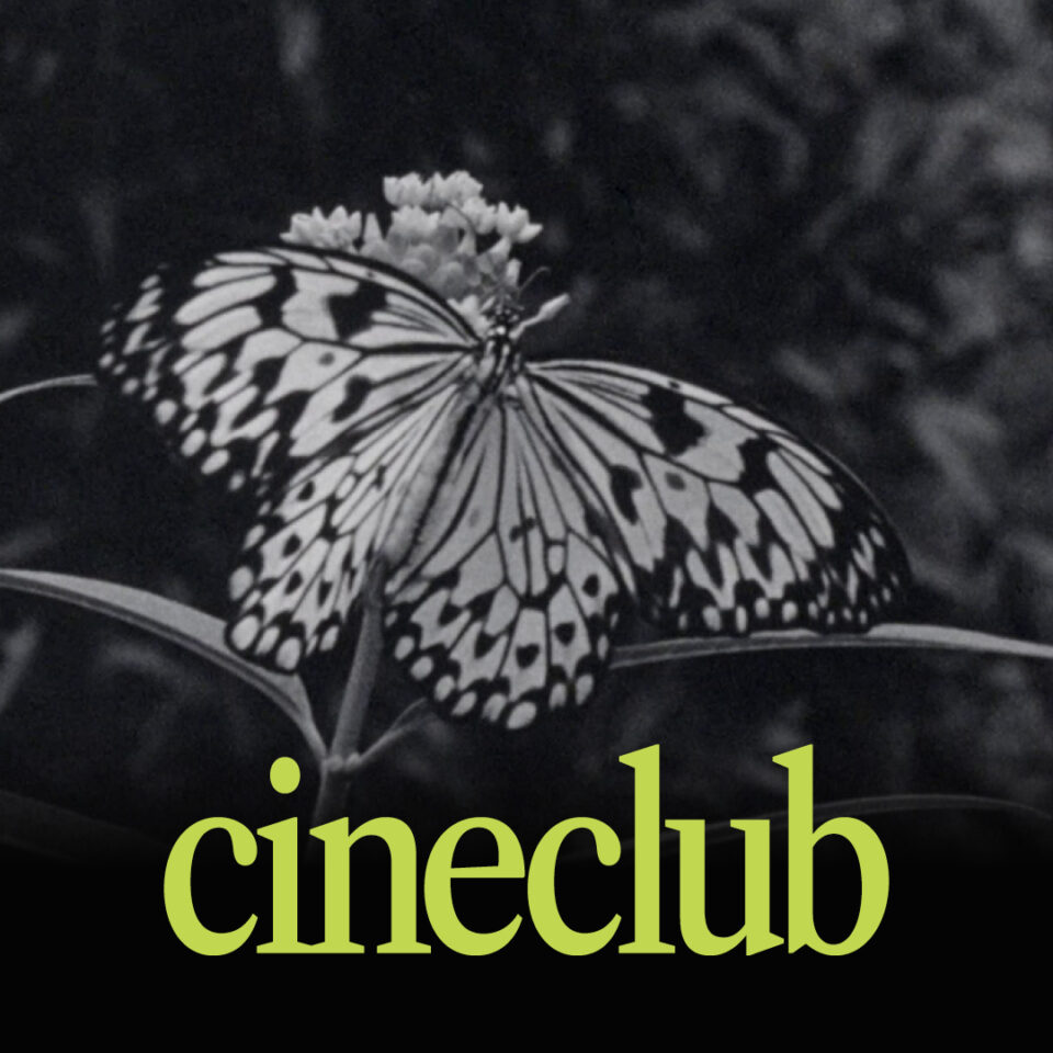 cineclub de juny