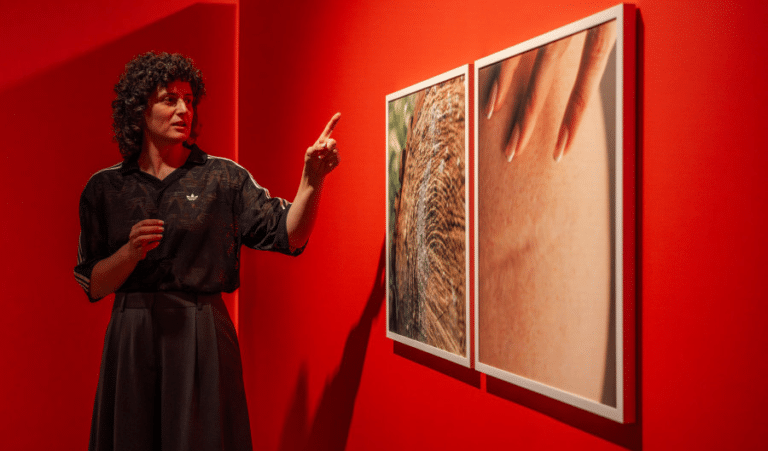 Visita guiada a l’exposició “Assenyala un punt” amb Lúa Coderch