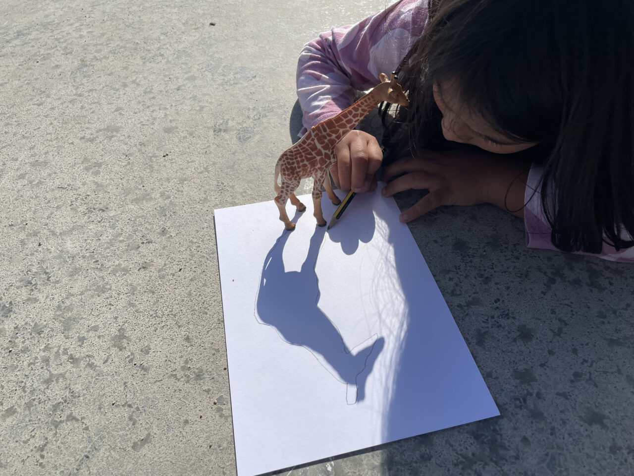 TALLER D’ESTIU PER A INFANTS