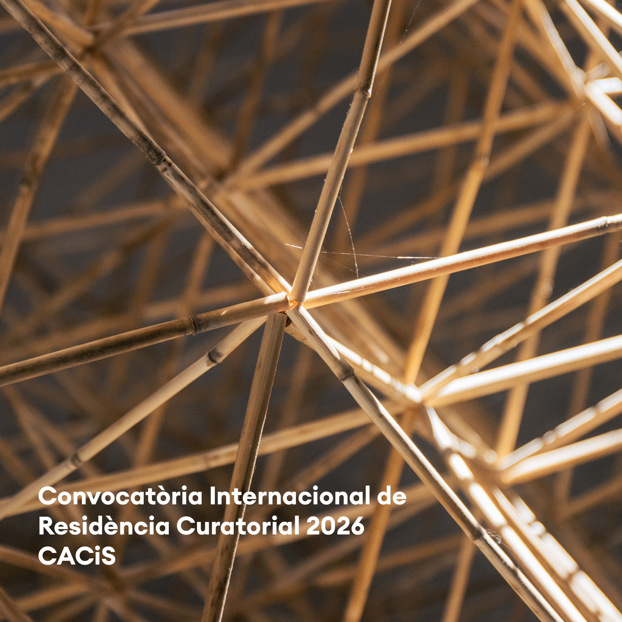 Convocatòria Internacional de Residència Curatorial 2026 CACiS