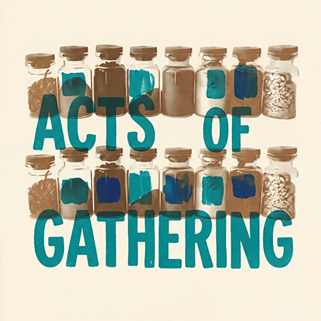 acts of gathering  public sharing event by Hannah Taylor