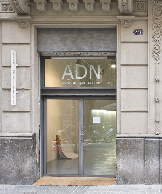 Visita guiada a les exposicions