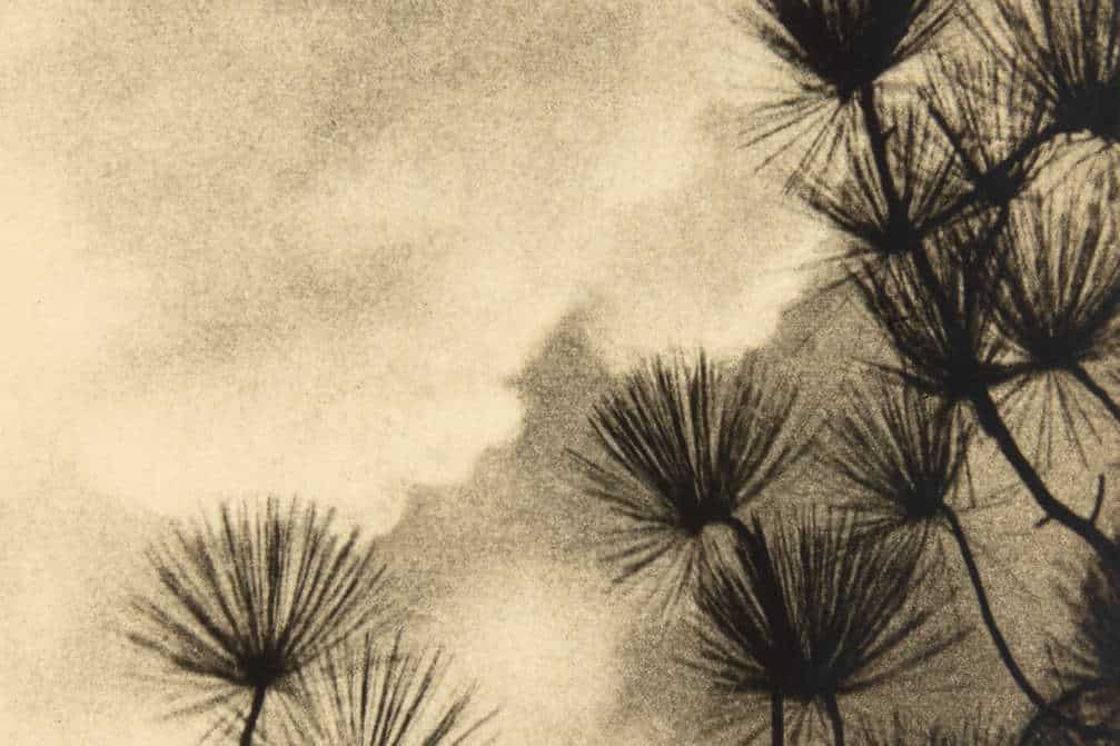 Del natural. Fotografies de la col·lecció del Museo Universidad de Navarra 1840-1939