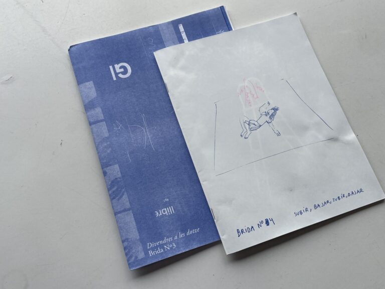 Presentació dels números 3 i 4 de la revista ‘Brida’